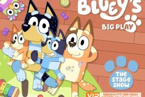 3-10岁孩子观看的英文动画片《Bluey布鲁伊》纯英文版第一季+第二季MP4动画视频